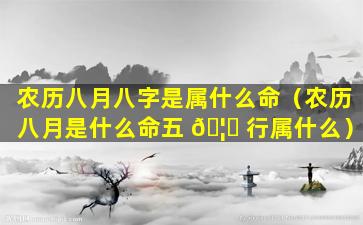 农历八月八字是属什么命（农历八月是什么命五 🦈 行属什么）